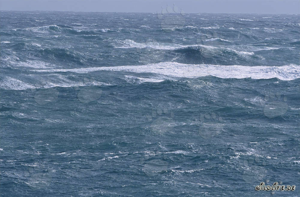 Stürmische See am Kap Agulhas