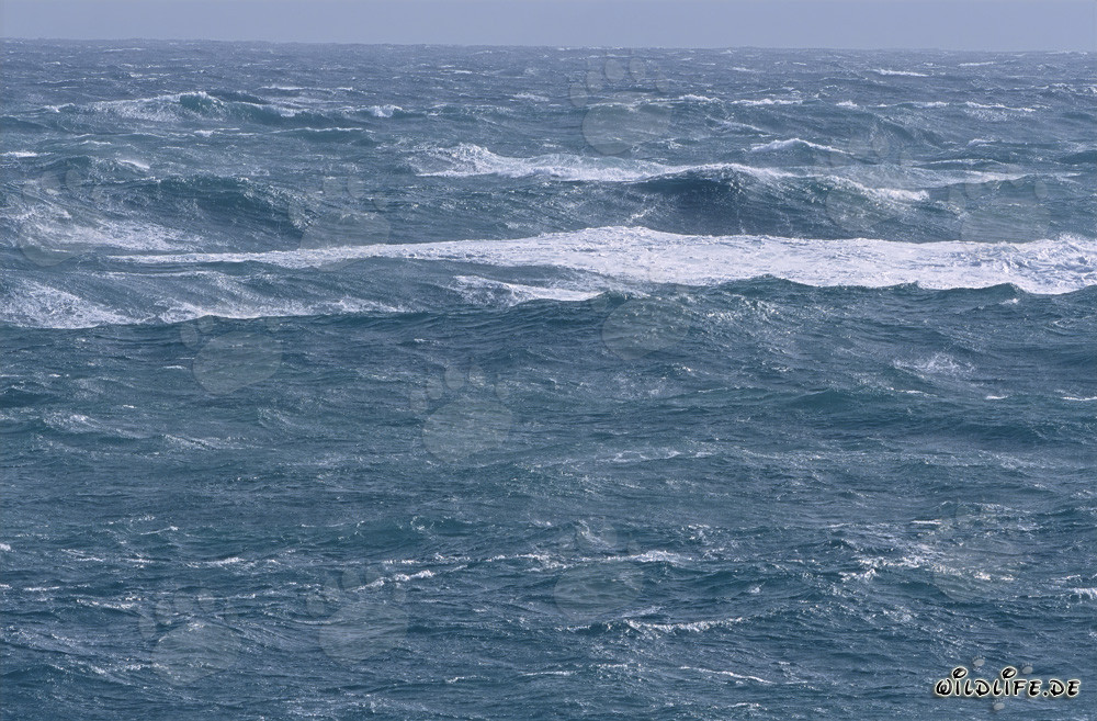 Mare in tempesta al Capo Agulhas