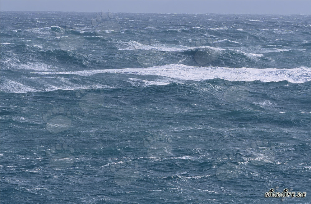 Mer déchaîné au Cap des Aiguilles