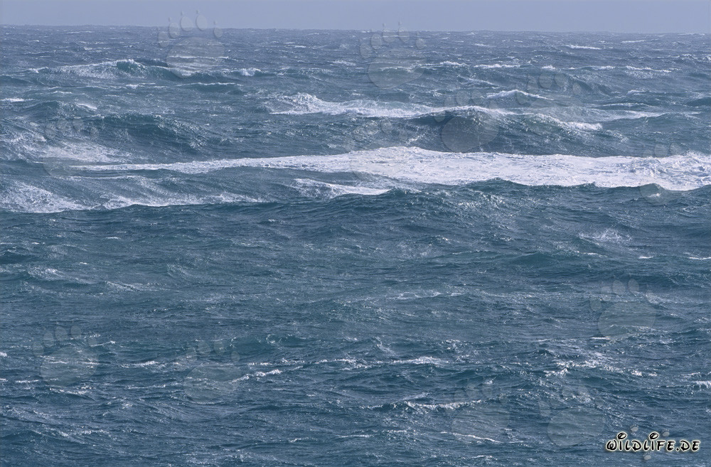 Mar tempestuoso en el Cabo de las Agujas