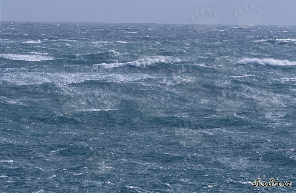Storm at Cape Agulhas