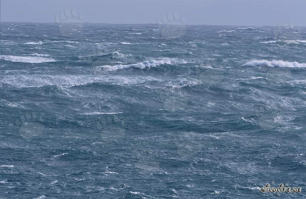 Sturm am Kap Agulhas