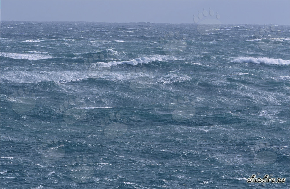 Tempesta al Capo Agulhas