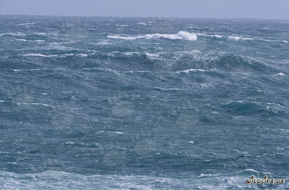 Storm and High Waves at the Southern Tip of Africa