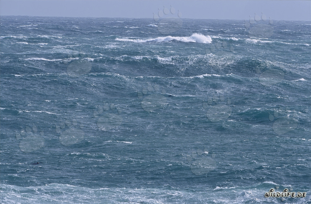Tempeste e onde alte all'estremità meridionale dell'Africa