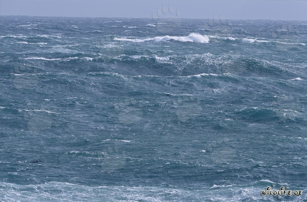 Tempêtes et hautes vagues au cap Sud de l'Afrique