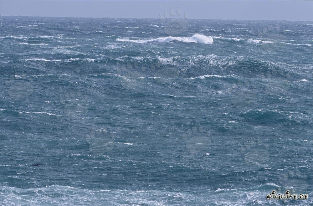 Tormentas y fuertes olas en el extremo sur de África