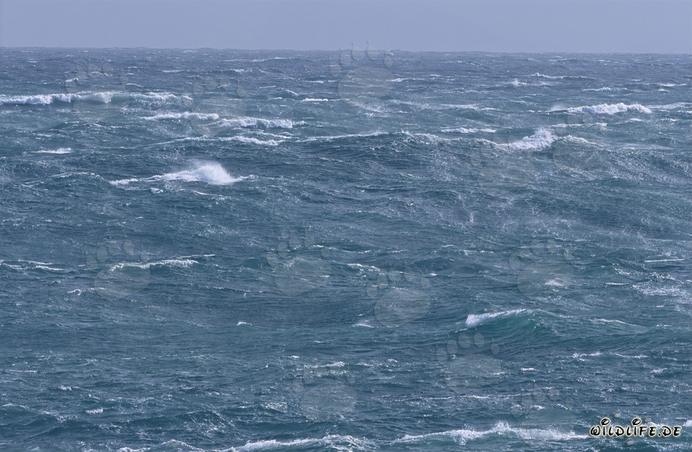 Mar tormentoso en Cabo Agulhas, Sudáfrica