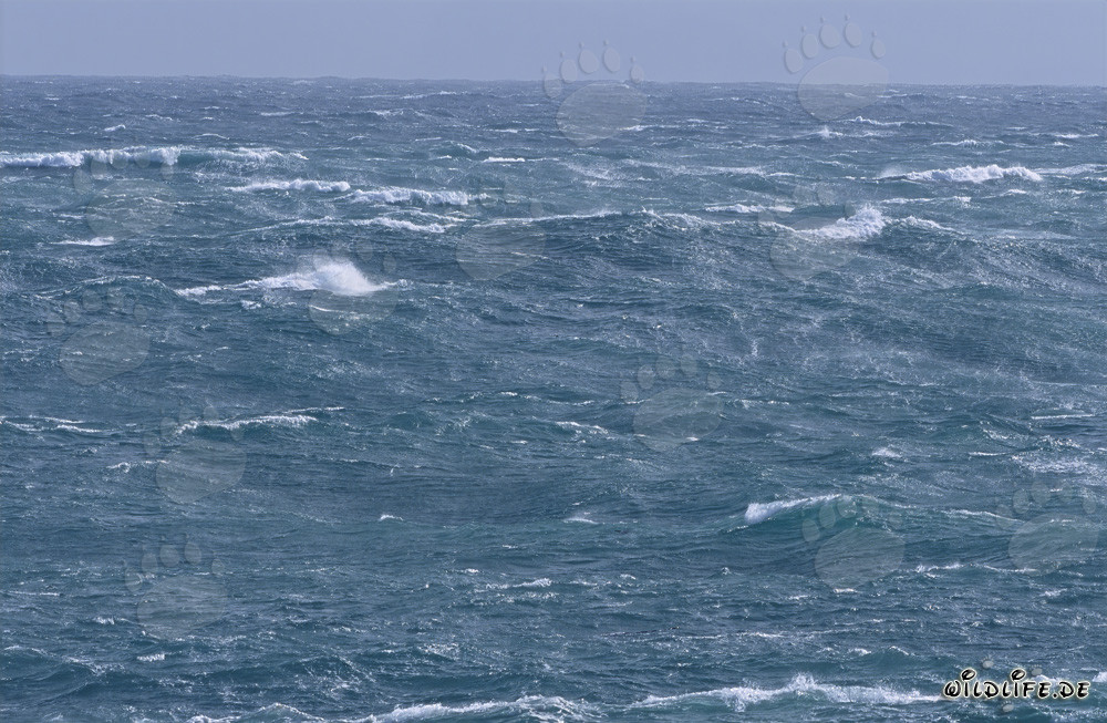 Mare in tempesta al Capo Agulhas, Sudafrica