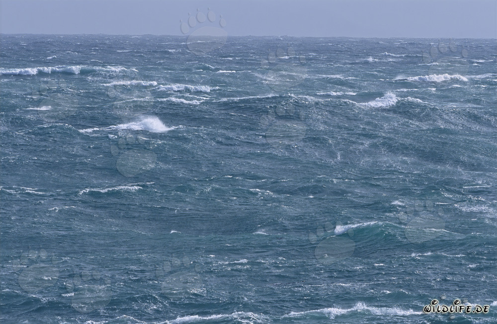 Mer agité au Cap Agulhas, Afrique du Sud