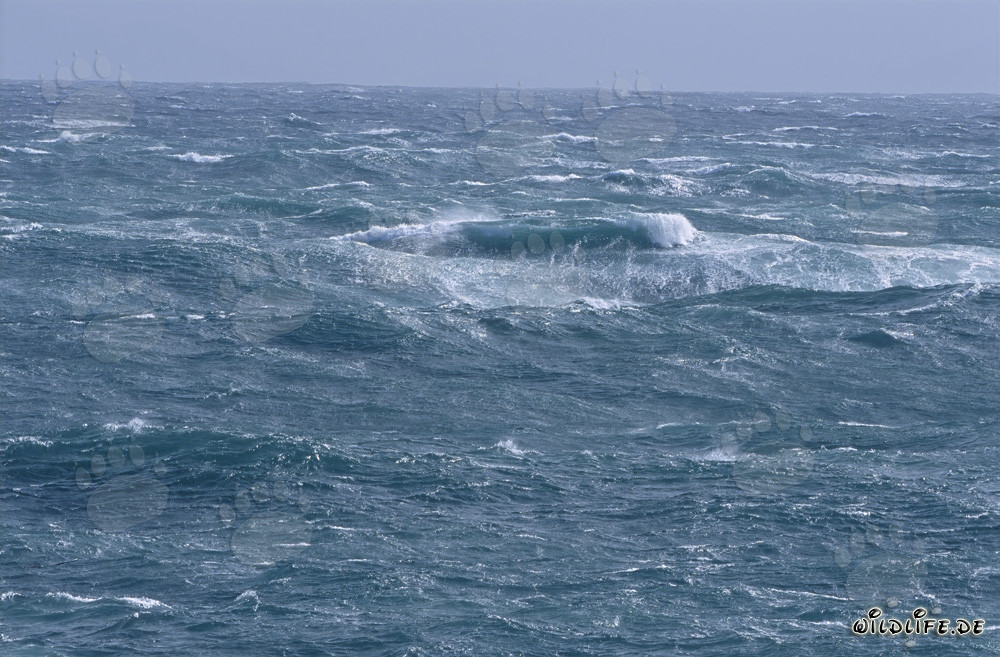Tormenta en el Cabo Agulhas: Mar salvaje en el extremo sur de África