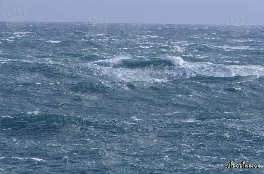 Tempête au Cap Agulhas : Mer agitée à la pointe sud de l'Afrique