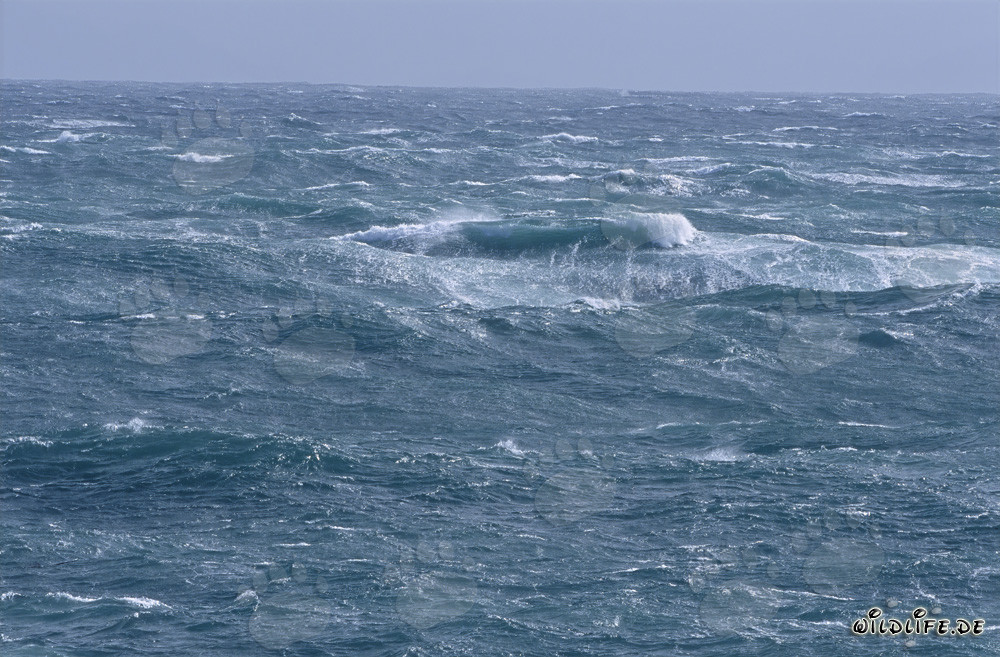 Storm at Cape Agulhas: Wild Sea at the Southern Tip of Africa