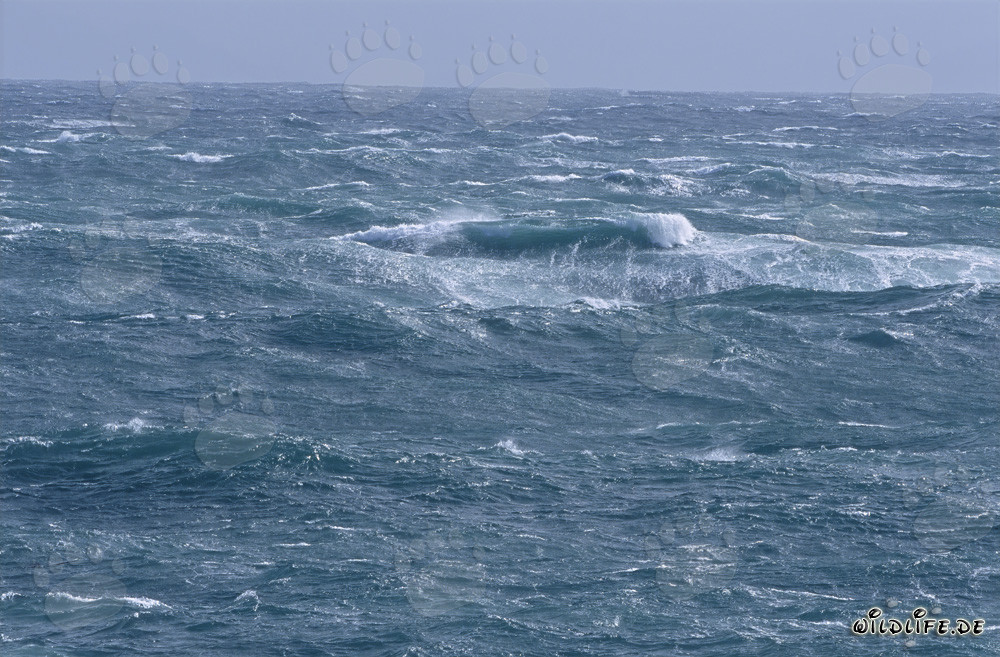 Sturm am Kap Agulhas: Wilde See an der Südspitze Afrikas