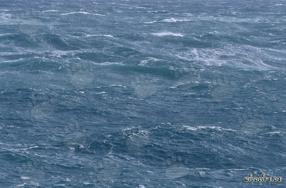 Storm at Cape Agulhas - Wild Sea at the Southern Tip of Africa