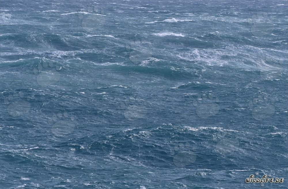 Sturm am Kap Agulhas - Wilde See an der Südspitze Afrikas
