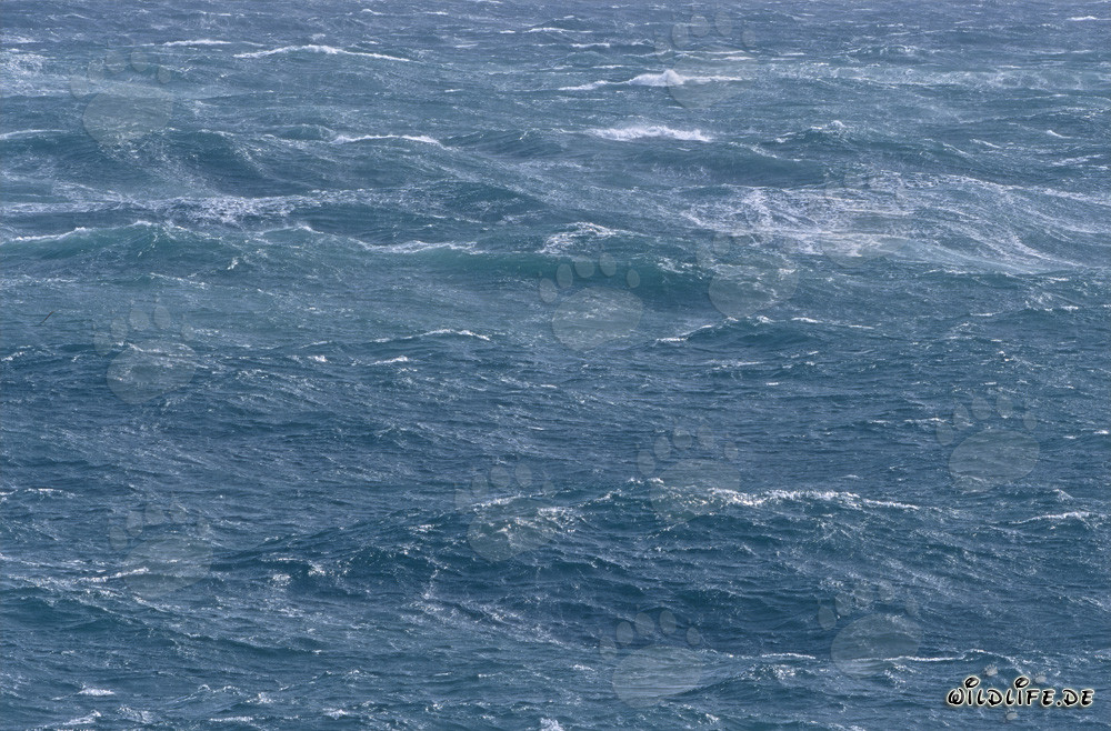 Tempête au Cap Agulhas - Mer agitée à la pointe sud de l'Afrique