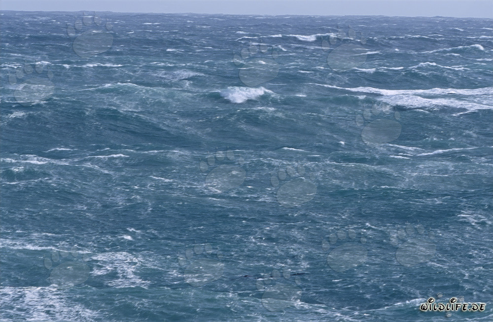 Mar tempestuoso en el Cabo de las Agujas