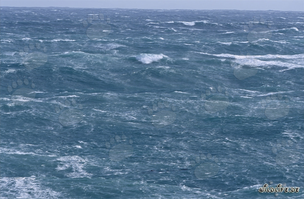 Mare in tempesta al Capo Agulhas
