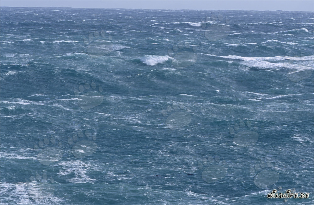 Mer agité au Cap des Aiguilles