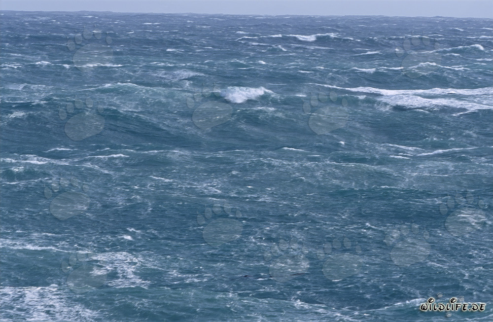 Stormy Sea at Cape Agulhas