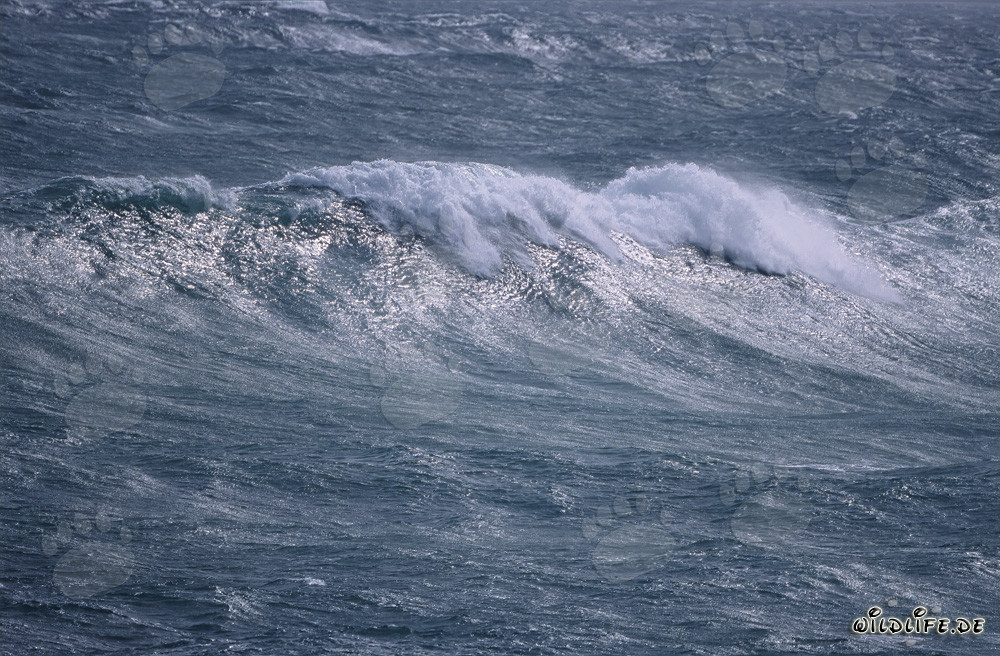 Mar tempestuoso en el cabo sur de África