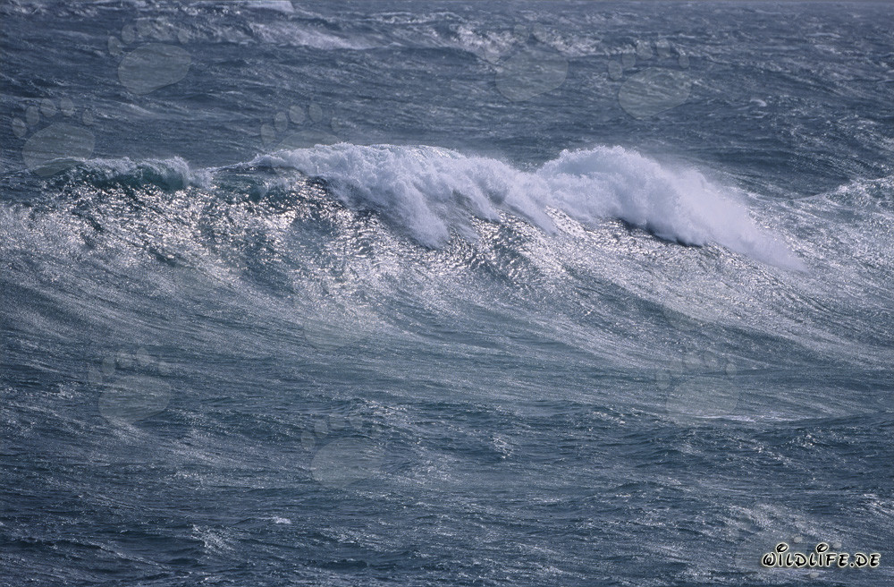 Stürmisches Meer an der Südspitze Afrikas