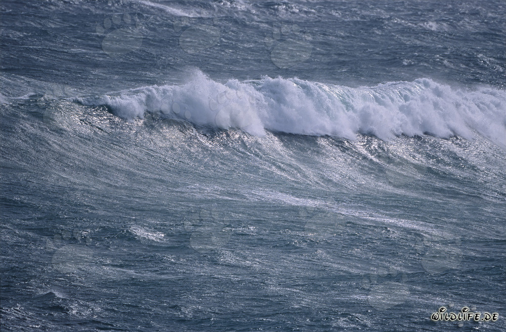 Stürmische See am Kap Agulhas, Südafrika