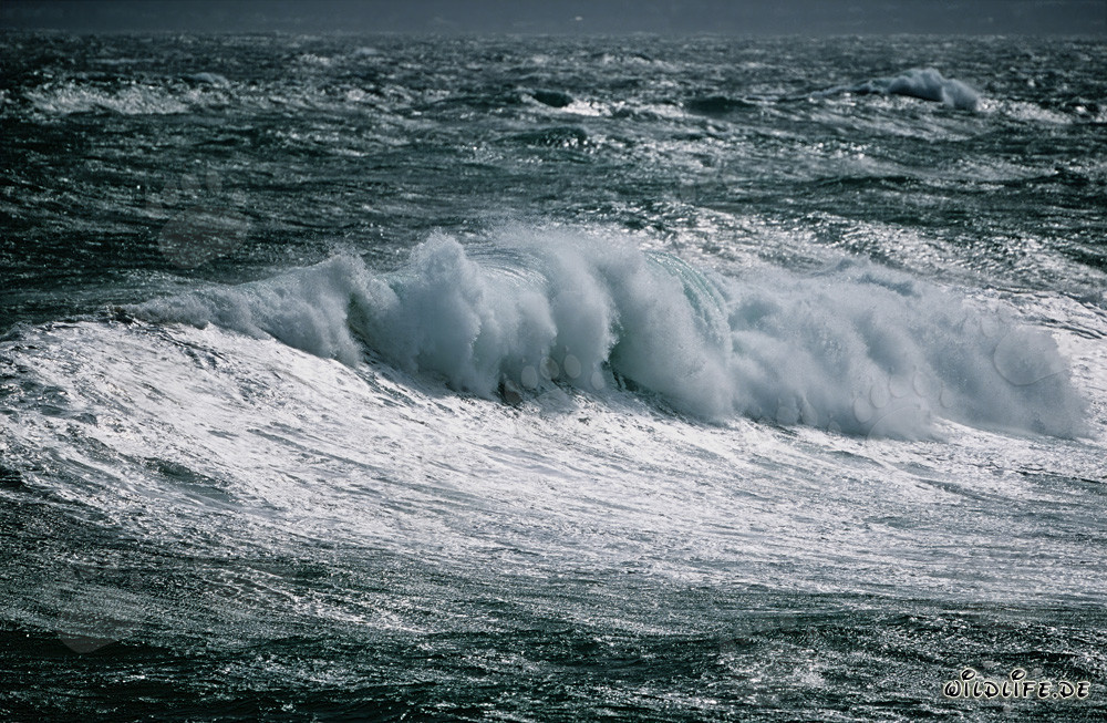Sturm am Kap Agulhas