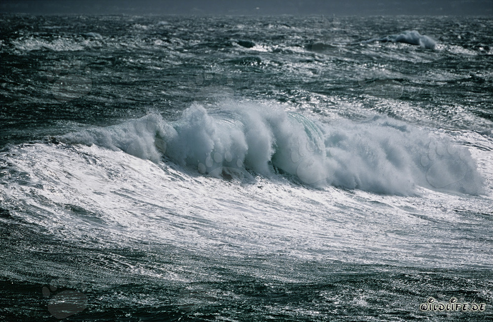 Tempête au Cap des Aiguilles