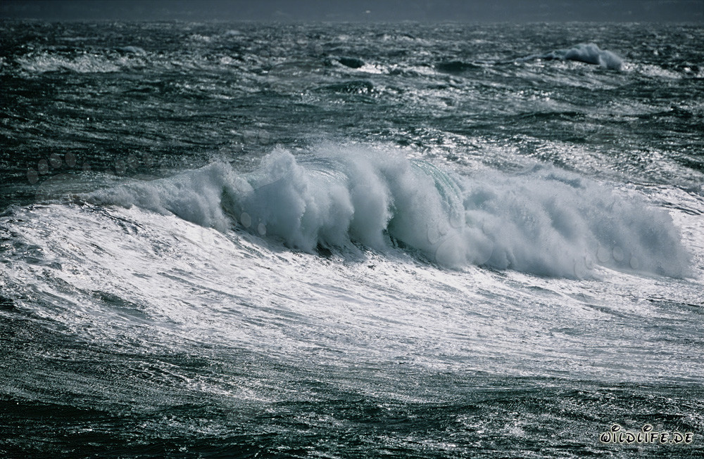 Tormenta en el Cabo de las Agujas