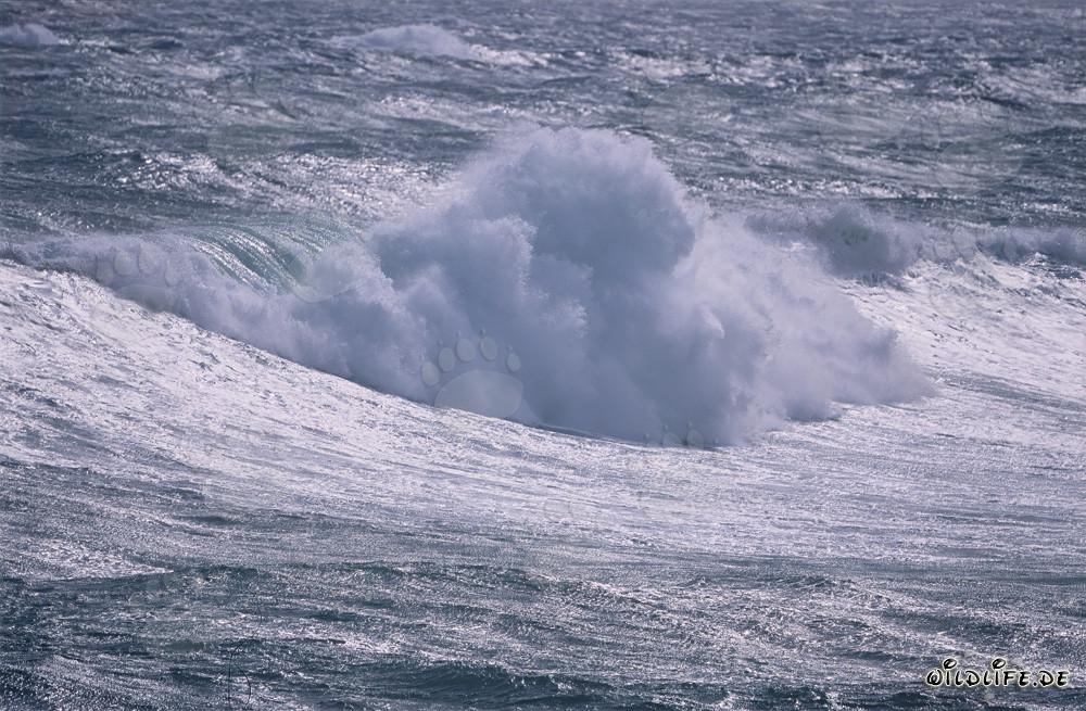 Sturm im Südatlantik