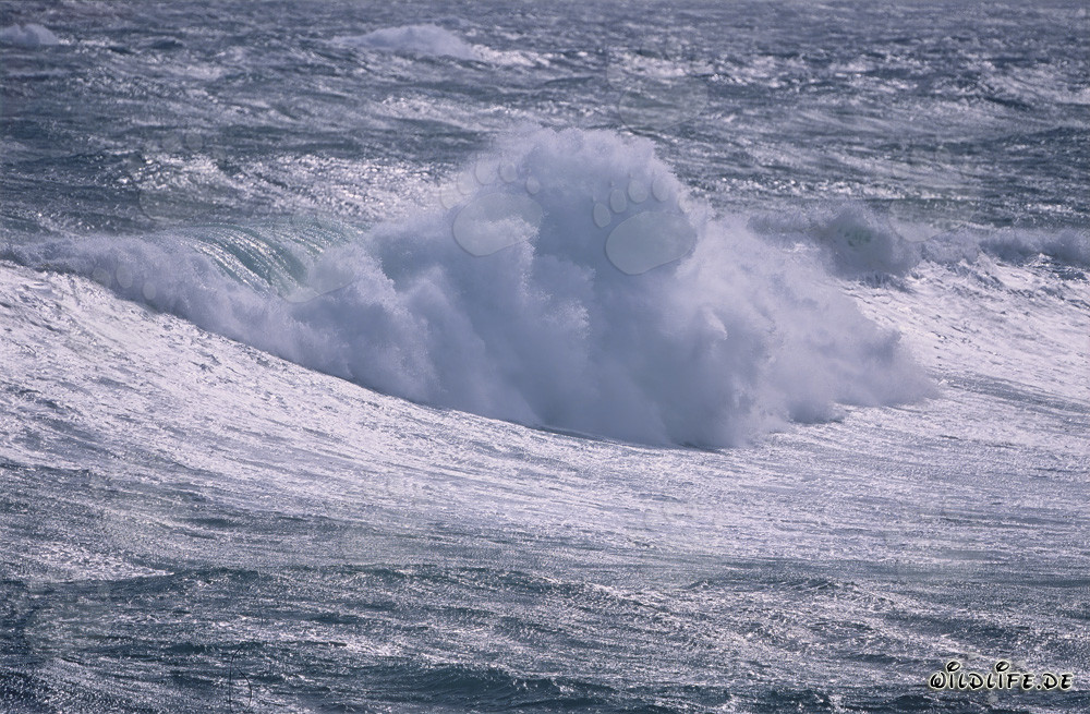 Tempesta nel Sud Atlantico