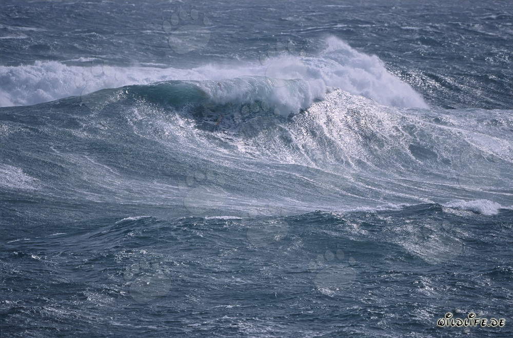 Massive Storm at the Southern Tip of Africa