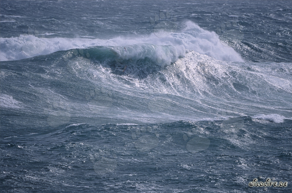 Violente tempête à la pointe sud de l'Afrique