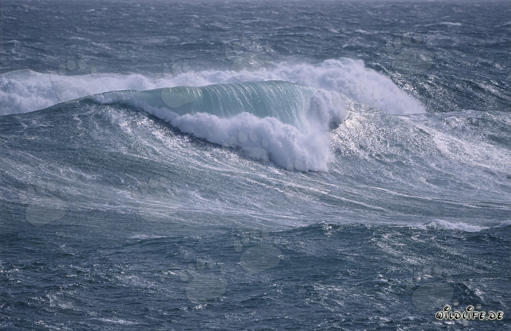 Mar agitado en el extremo sur de África