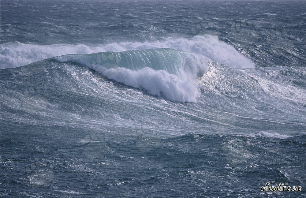 Mer agitée au cap Sud de l'Afrique