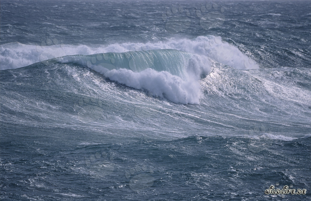 Turbulent Sea at the Southern Tip of Africa