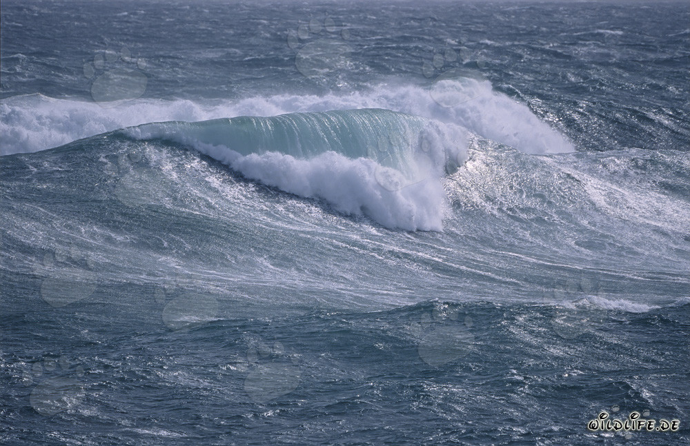 Turbulente See an der Südspitze Afrikas