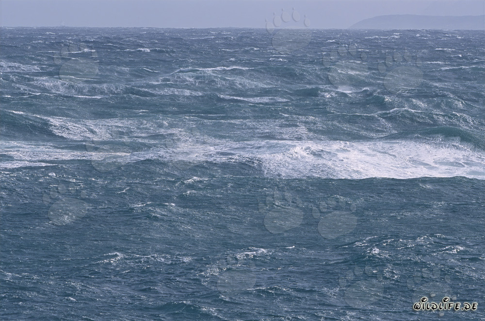 Mar tempestuoso en el Cabo Sur de África