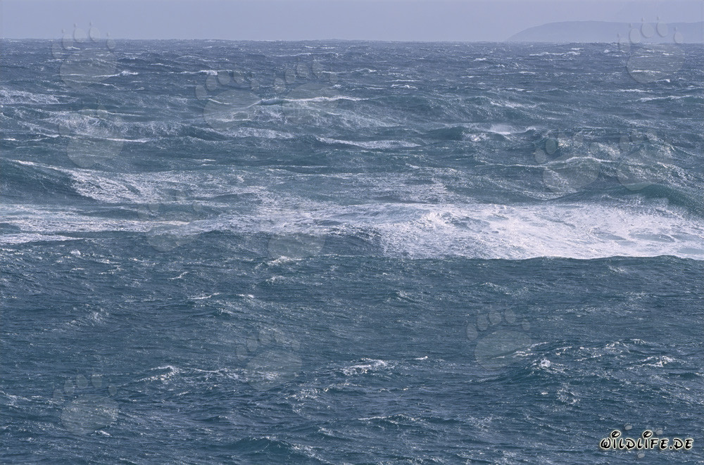 Mare in tempesta al Capo Sud dell'Africa