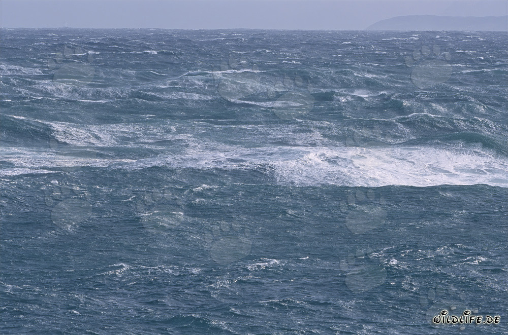 Mer agitée au cap Sud de l'Afrique