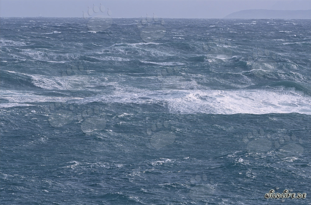Stürmische See an der Südspitze Afrikas