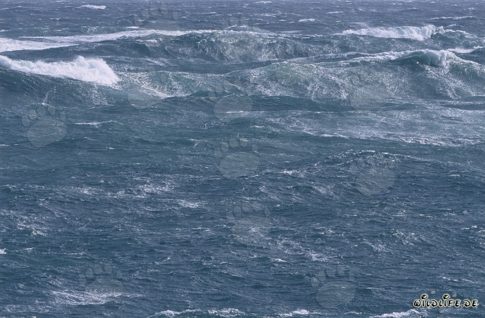 Mar tempestuoso en el cabo sur de África