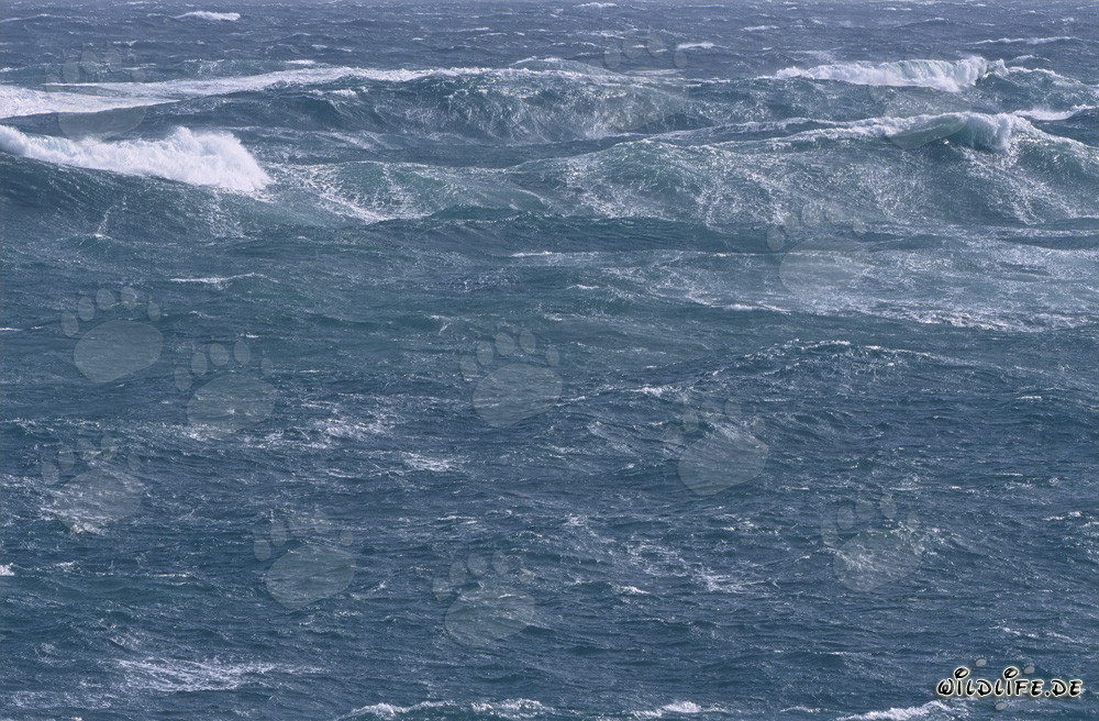 Mer agité au cap Sud de l'Afrique