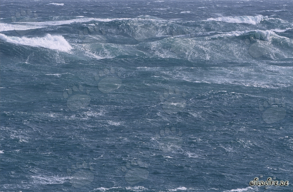 Stormy Sea at the Southern Tip of Africa