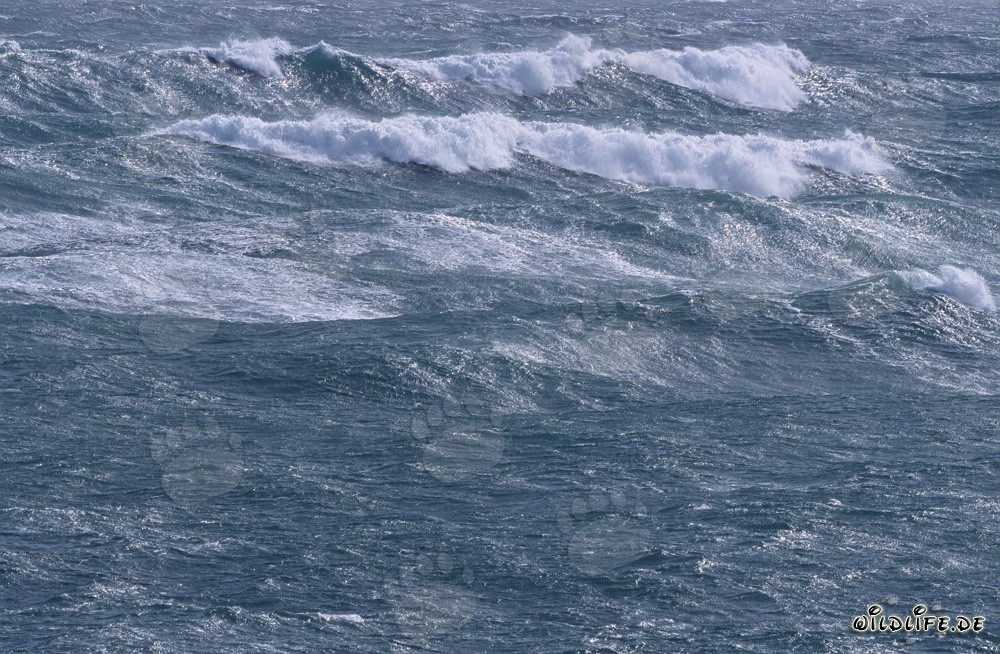 Tempesta sul Sud Atlantico di fronte alla punta meridionale dell'Africa