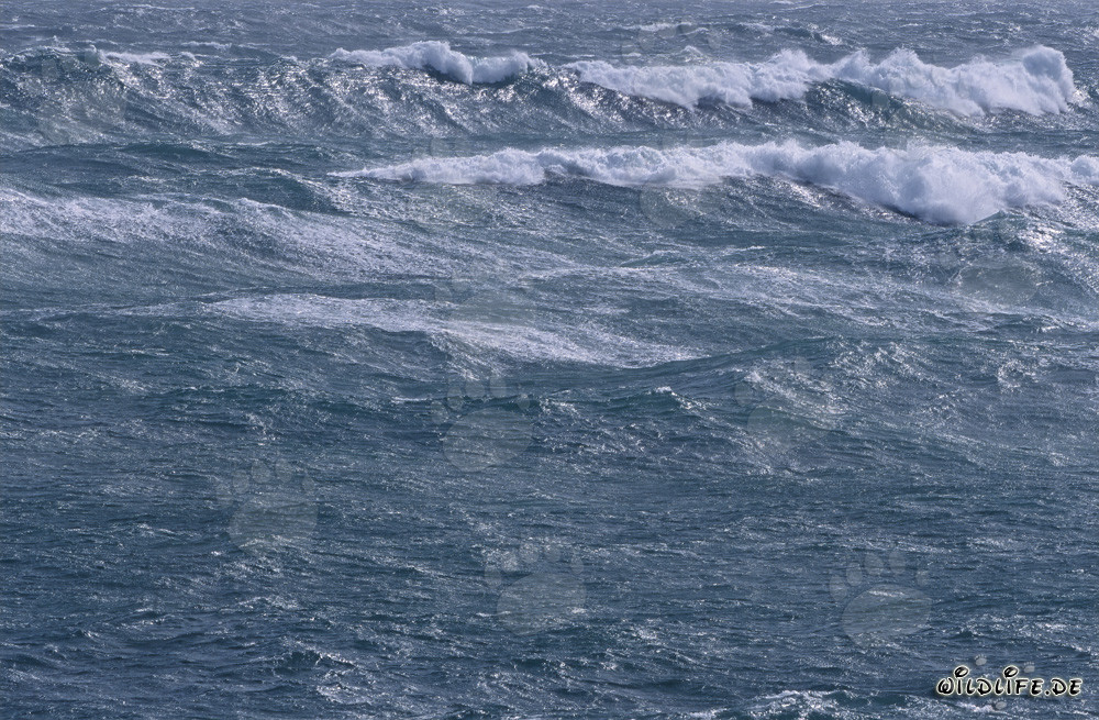 Mare in tempesta al Capo Agulhas, Sudafrica