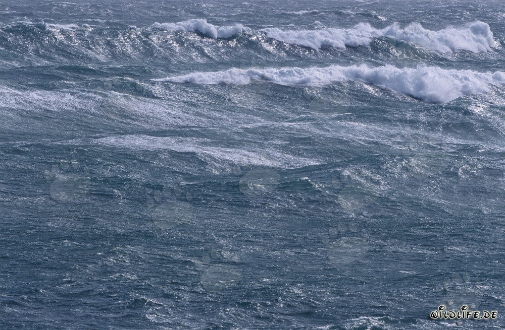 Stormy Sea at Cape Agulhas, South Africa