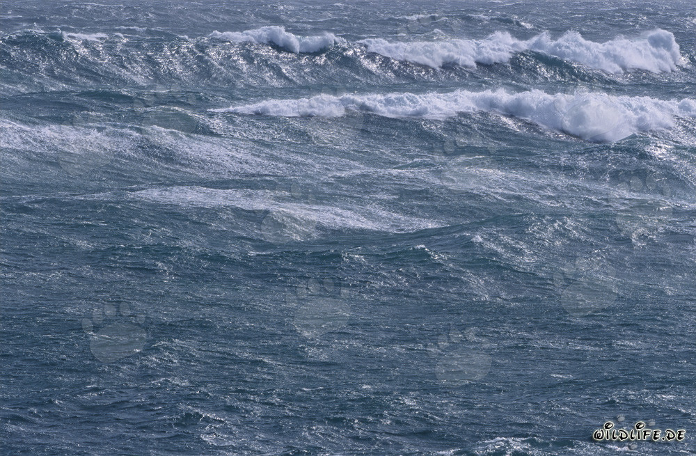 Tempête à Cape Agulhas, Afrique du Sud